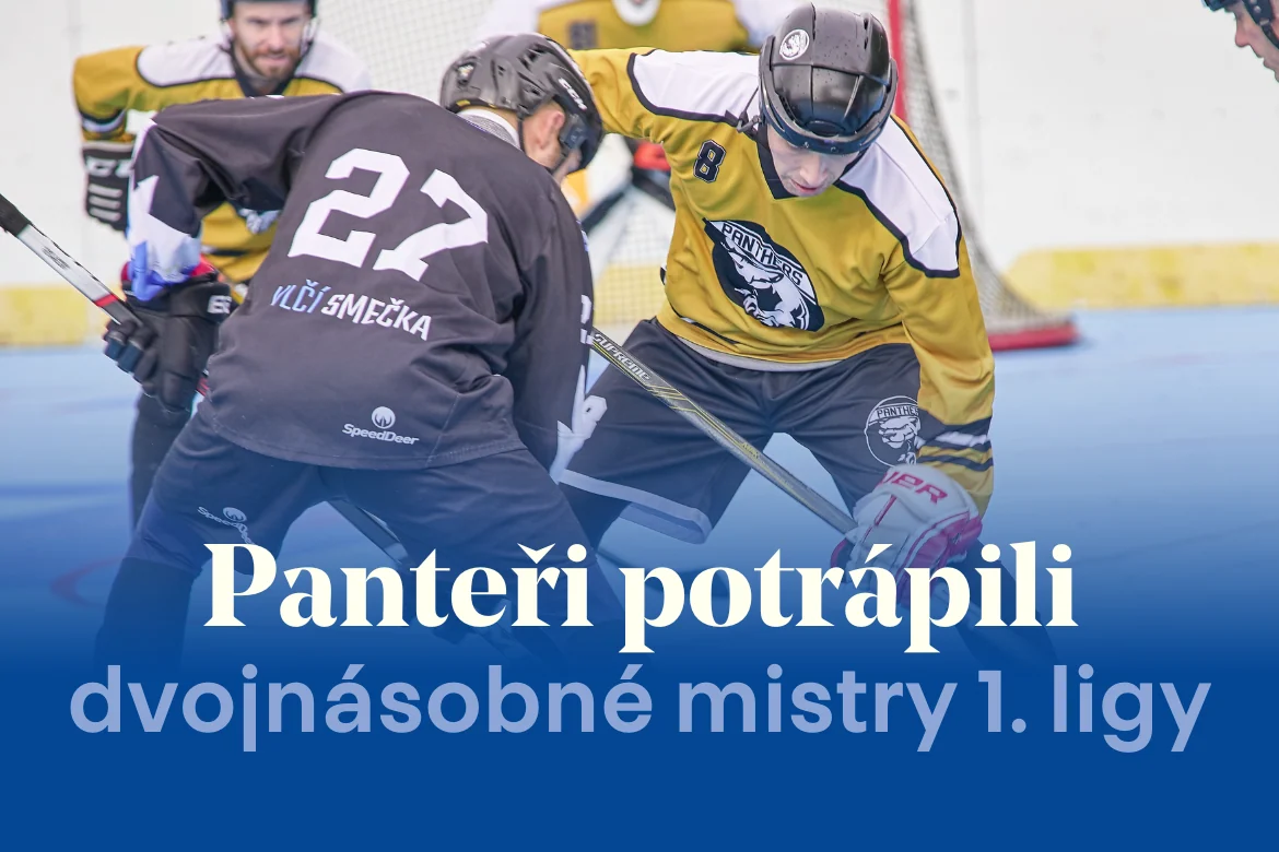 Panteři byli dvojnásobnému mistrovi 1. ligy rovným soupeřem! Ve druhém kole poháru potrápili ústeckou Vlčí Smečku